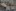 1761262997_VJRIJFTKZVE3DCDSUZRFBJBD5Q.jpg