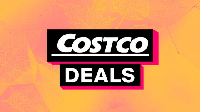 1761683352_zdnet-prime-day-costco.png