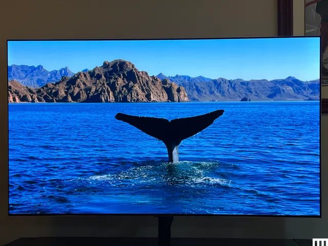 LG2520G52520OLED2520TV25205_2520Source2520Ryan2520Waniata.png