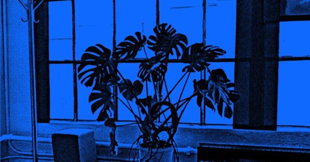 WIRED-AI-as_Normal_Blue_2.jpg