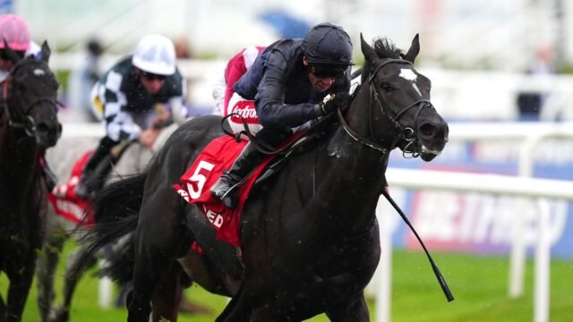 skysports-puerto-rico-champagne-stakes_7043411.jpg