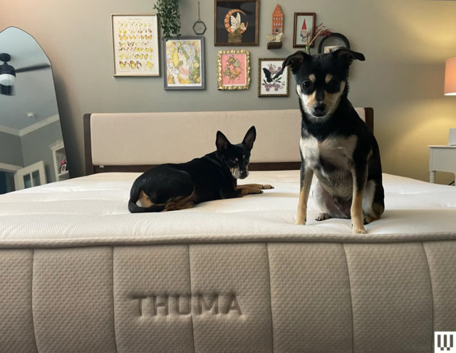thuma2520hybrid2520mattress2520source2520julia2520forbes.png