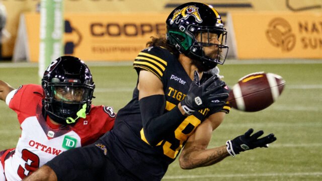 ticats.jpg