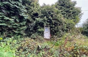 Inferno arbustivo! Bungalow engolido por cobertura está em leilão por £110.000… (mas espere até ver o inside!)