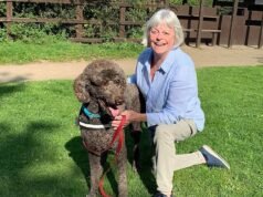 Lidl pede desculpas por multar vendedores de papoula em £ 90 por estacionarem em supermercados enquanto coletavam para a Royal British Legion