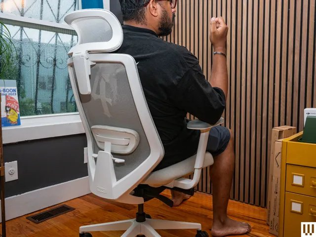 1764458699_1-Branch2520Ergonomic2520Chair2520Pro2520SOURCE2520Julian2520Chokkattu.png