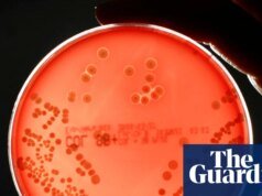 As mortes ligadas a superbactérias resistentes a antibióticos aumentaram 17% na Inglaterra em 2024