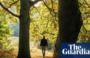 A Grã-Bretanha é uma das nações menos “conectadas à natureza” do mundo – sendo o Nepal o mais