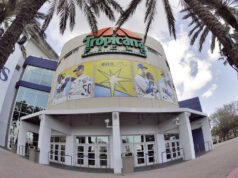Rays retornará ao Tropicana Area em 2026 após reparos de furacões
