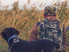 Il ya une nouvelle brute en ville