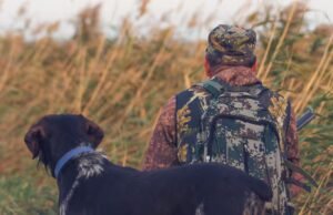 Il ya une nouvelle brute en ville