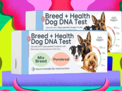 Os kits de teste para animais de estimação Basepaws estão pela metade agora (2025)