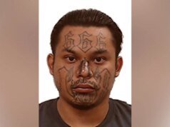 Gângster ilegal com tatuagem demoníaca no rosto, procurado por homicídio, preso em solo americano: federais