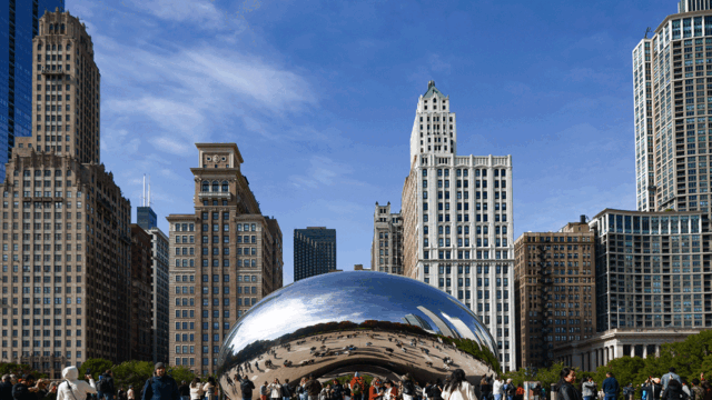 bean-chicago.gif