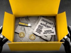 Polícia derruba três operações de crimes cibernéticos na última rodada de ‘whack-a-mole’