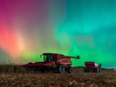 Luzes do norte avistadas nos céus dos EUA Veja as fotos.