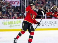 Senadores se sentem confiantes antes das férias de Natal