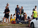 Testemunhas traumatizadas revelam como os CIVIS tiveram que substituir a POLÍCIA ‘despreparada’ durante o ataque terrorista em Bondi Seaside que deixou DOZE mortos – conforme surge o cronograma do bloodbath