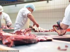 O desaparecimento da carne bovina na Grã-Bretanha: mapa interativo mostra onde os açougueiros estão desaparecendo da sua rua