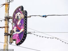 Laurence Llewelyn-Bowen divide opiniões com suas iluminações ‘naff’ de Blackpool – incluindo seus cães retratados como aristocratas vestidos
