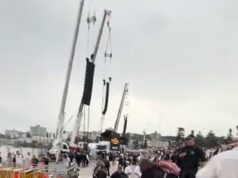 Anthony Albanese abusado enquanto participava da vigília de Bondi: ‘Sangue em suas mãos’