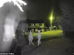 Momento incendiários incendiam carro antes que mãe e filho de 10 anos sejam forçados a fugir enquanto o inferno ameaça sua casa