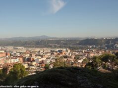 ‘pedófilo’ britânico tenta ‘sequestrar criança de dois anos em parque espanhol’