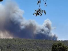 ‘Tarde demais para sair:’ Alerta urgente de incêndio florestal é emitido no dia de Natal, enquanto as temperaturas ultrapassam os 40ºC em Perth