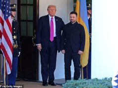 Zelensky exige cessar-fogo de 60 dias em troca de uma votação histórica sobre a cedência de terras à Rússia antes da cimeira de paz de Mar-a-Lago