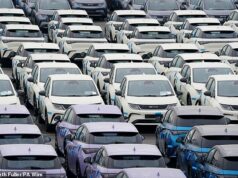 Taxas de mortalidade em híbridos ‘três vezes superiores às dos automóveis a gasolina’, levando especialistas em segurança rodoviária a solicitarem inquérito