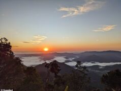 Grande salto mortal para trás após o fechamento do Monte Warning para proteger a herança indígena