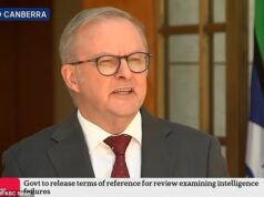 Anthony Albanese defende decisão de não lançar uma Comissão Actual sobre o ataque terrorista em Bondi Seashore