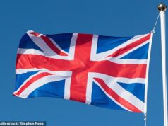 1 em cada 3 acredita que ‘britanismo’ é algo com que você nasce – pesquisa