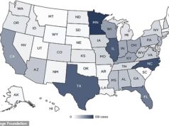 Escândalo de creches na Somália desperta temores de que as eleições de Minnesota tenham sido fraudadas, à medida que ‘brecha feita para fraude’ é exposta