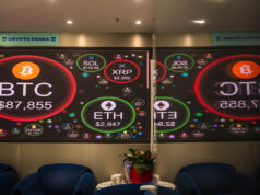 Para reduzir o risco de investimento em criptografia, o mercado está começando a diversificar suas apostas em ativos digitais