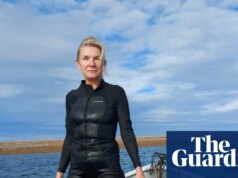 Mudança radical: o esforço para restaurar milhões de ostras na costa de Norfolk