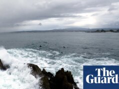 Corpo de triatleta aparentemente morto por tubarão encontrado em praia da Califórnia