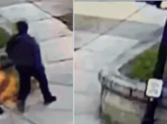 Tiroteio na Brown College: Primeira superfície visible mostrando o atirador; massiva caçada humana lançada