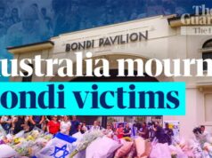 Anthony Albanese ‘pronto para a luta’ para endurecer as leis sobre armas de fogo enquanto o Partido Nacional e grupos armados recuam