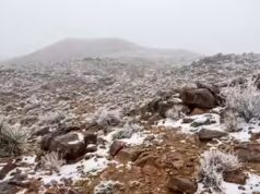 Arábia Saudita registra rara nevasca em Tabuk e Hail enquanto vídeos se tornam virais