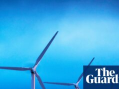 O Natal deste ano pode ser o mais verde da Grã-Bretanha, diz operadora de energia