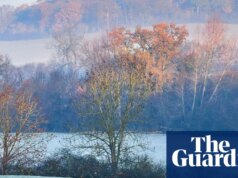 Natal branco é ‘improvável’, mas alerta de saúde emitido em meio à queda das temperaturas no Reino Unido