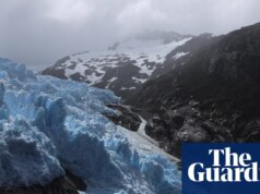 ‘É o lugar mais selvagem por onde andei’: novo parque nacional se juntará ao corredor de vida selvagem de 2.800 km do Chile