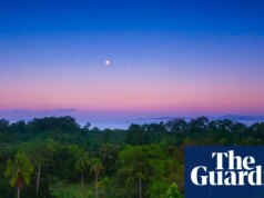 ‘Eles estão com medo de nós agora’: como o co-investimento em uma floresta tropical afastou os madeireiros