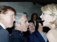 ‘Aproveite o que pode ser o seu último…’: a mensagem de Natal de Trump para os ‘sleazebags’ que amavam Jeffrey Epstein; tiro de advertência disparado