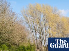 Primeira de nove novas caminhadas fluviais na Inglaterra anunciadas para o noroeste