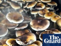 Conservador e cristão? Direita dos EUA defende drogas psicodélicas