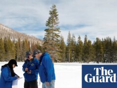 A neve acumulada na Califórnia ganha impulso com a série de chuvas de dezembro