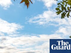 Não é mais ‘não amado’: varejistas investindo mais em lojas físicas, mostram dados do Reino Unido