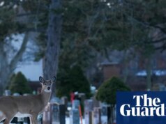 Rastreador meteorológico: congelamento profundo atinge o Canadá enquanto os EUA registram o Natal mais quente